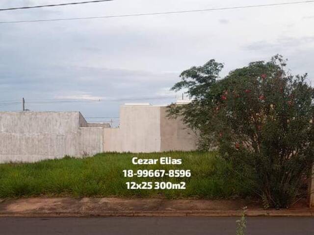 Centro/Posto de Combustível 2400m2 em Andradina - SP - 77